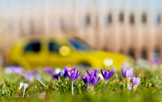 Seasonal Car Care: Preparing Your Vehicle for Spring