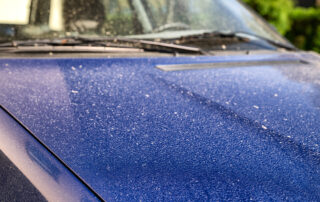 From Pollen to Pet Hair: Tackling Springtime Car Messes