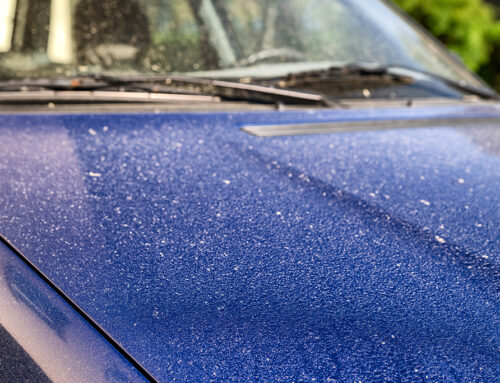 From Pollen to Pet Hair: Tackling Springtime Car Messes
