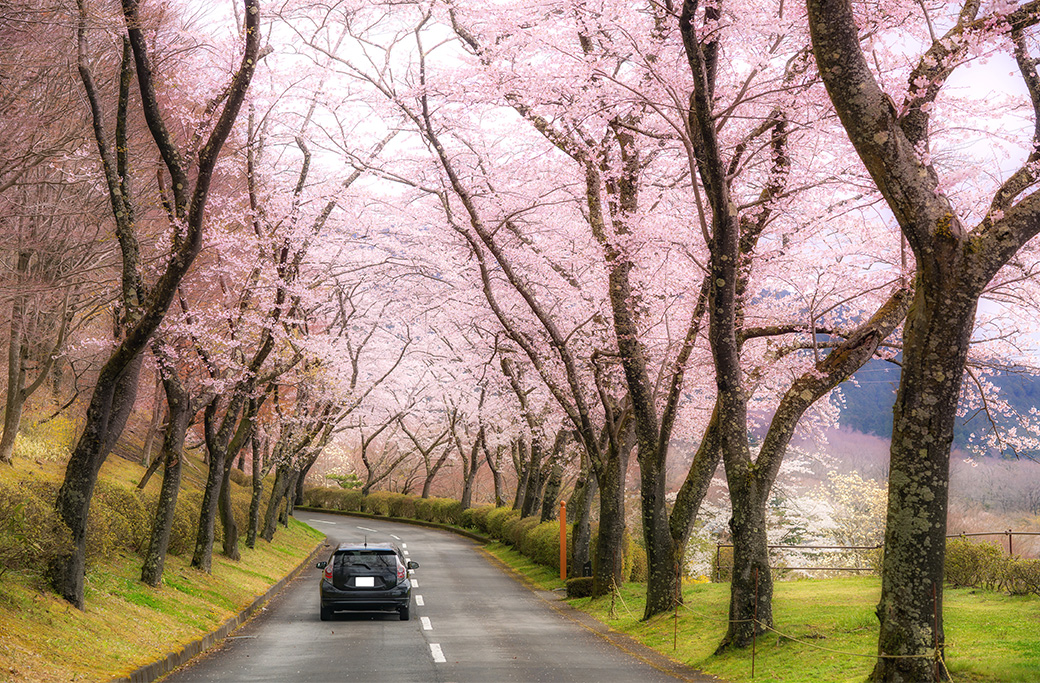 How Spring Weather Changes Affect Your Car