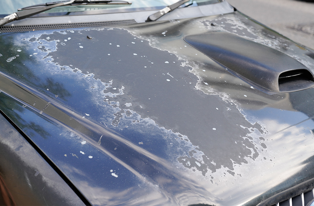 How a Car Wash Can Protect Your Vehicle’s Paint